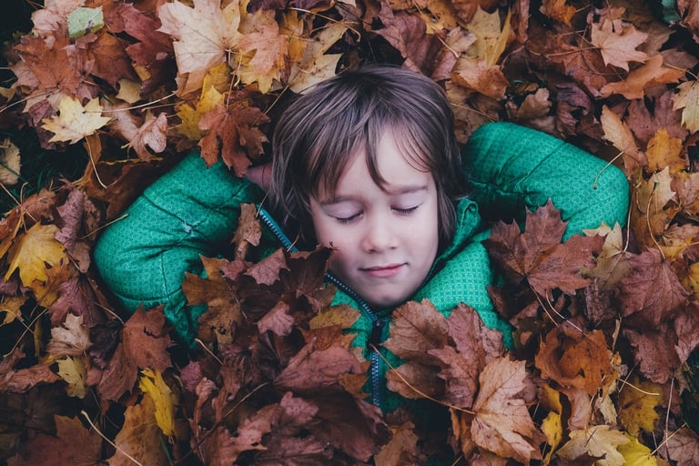 Dreams are for Sleeping, Purpose is for Living